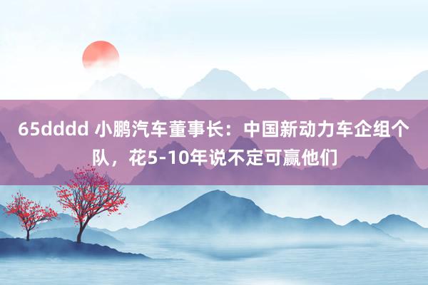 65dddd 小鹏汽车董事长：中国新动力车企组个队，花5-10年说不定可赢他们